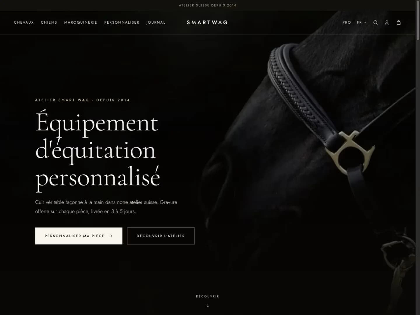 Capture du site Smartwag