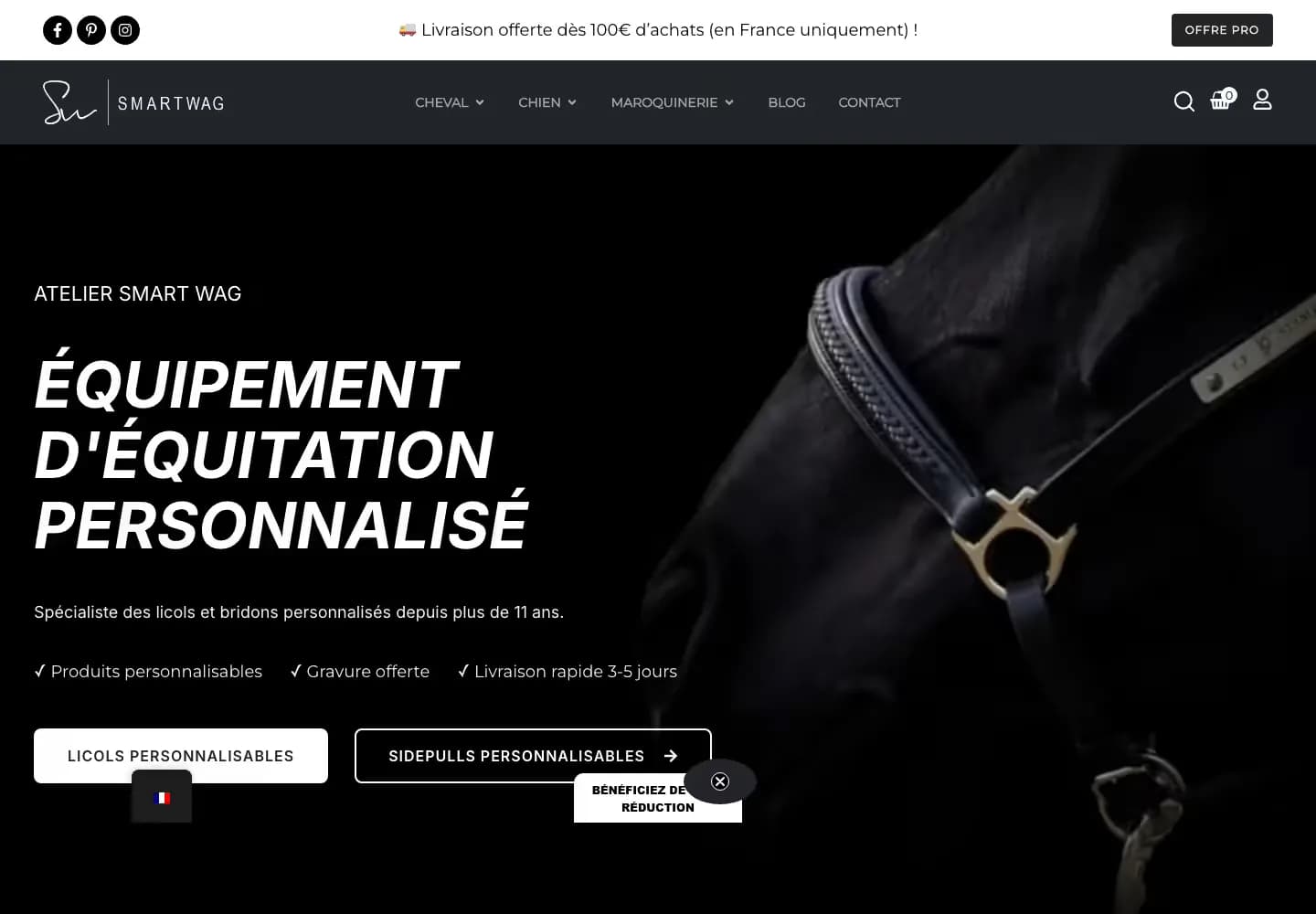 Ancien accueil Smartwag : logo SW à gauche, titre incliné et accès aux licols et sidepulls.